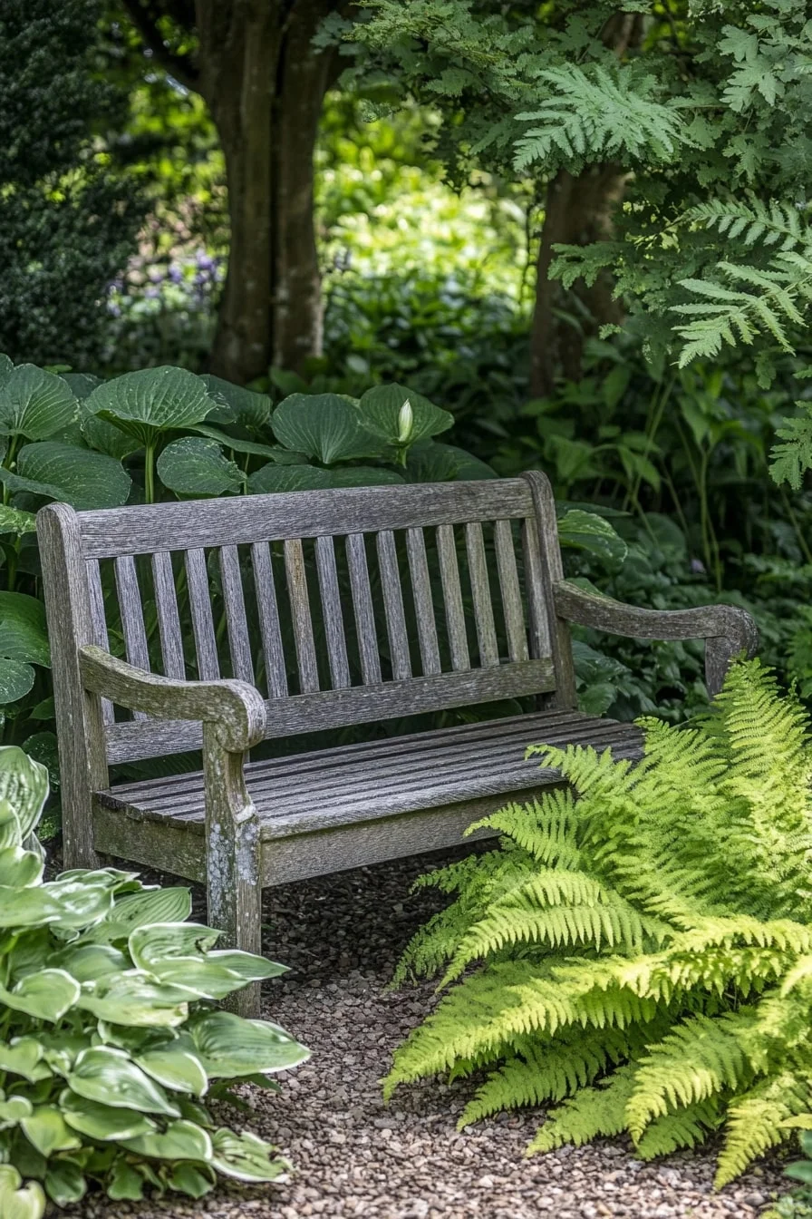 Bench Surrounded by Ferns and Hostas