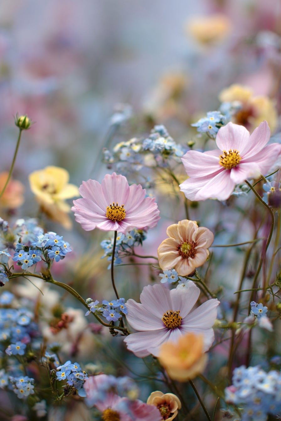 7. Soft Pastel Mix
